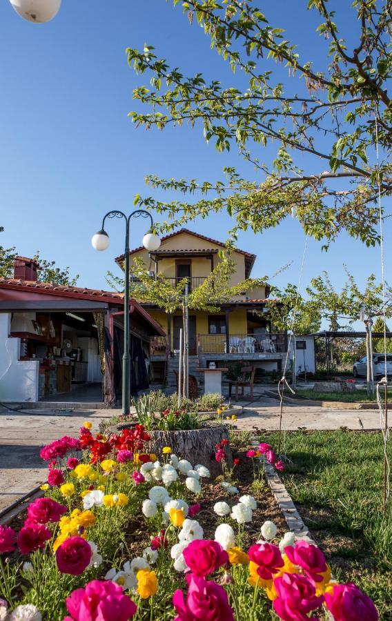 Sunset Villa Sozopoli Dış mekan fotoğraf